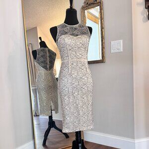 Jill Stuart Lace Sheath Dress | Style 461187 | Size XS/S